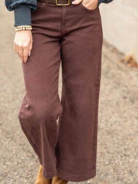 Risen Chocolate Wide Leg Cropped Jeans - 9/29 NWT